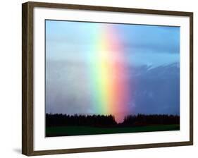 Rainbow-null-Framed Photographic Print