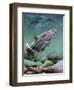 Rainbow-Spencer Williams-Framed Giclee Print