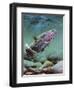 Rainbow-Spencer Williams-Framed Giclee Print