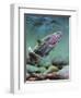 Rainbow-Spencer Williams-Framed Giclee Print
