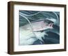 Rainbow-Rusty Frentner-Framed Giclee Print