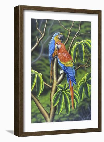 Rainbow-Luis Aguirre-Framed Giclee Print