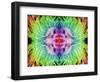 Rainbowed Plant, 2015-Ant Smith-Framed Giclee Print