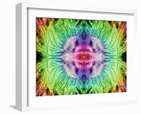 Rainbowed Plant, 2015-Ant Smith-Framed Giclee Print