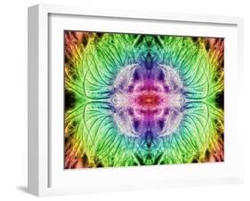 Rainbowed Plant, 2015-Ant Smith-Framed Giclee Print