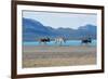 Raindeer in Norway-Andrushko Galyna-Framed Photographic Print