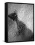 Raindrop Ripples on Fish Underwater-Henry Horenstein-Framed Stretched Canvas