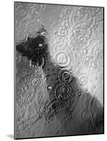 Raindrop Ripples on Fish Underwater-Henry Horenstein-Mounted Photographic Print