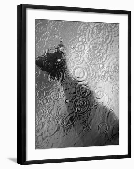 Raindrop Ripples on Fish Underwater-Henry Horenstein-Framed Photographic Print