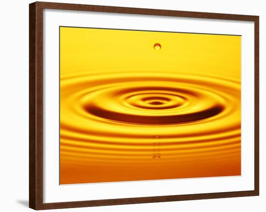 Raindrop-null-Framed Photographic Print