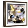 Raindrops 2-Carla West-Framed Giclee Print