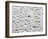 Raindrops on a Window Pane-Duncan Shaw-Framed Photographic Print