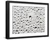 Raindrops on a Window Pane-Duncan Shaw-Framed Photographic Print