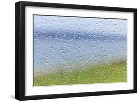 Raindrops on Glass 2-Don Paulson-Framed Giclee Print