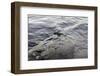 Raindrops on the lake Stora Le, Sweden-Andrea Lang-Framed Photographic Print