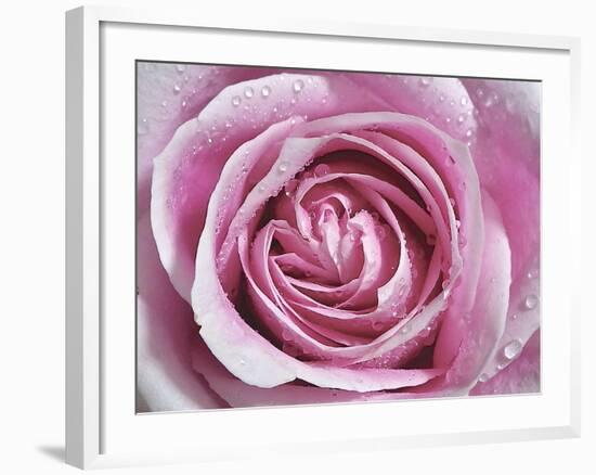 Raindrops & Roses II-Monika Burkhart-Framed Photo