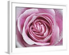 Raindrops & Roses II-Monika Burkhart-Framed Photo