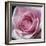 Raindrops & Roses III-Monika Burkhart-Framed Photo