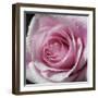 Raindrops & Roses III-Monika Burkhart-Framed Photo