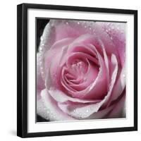 Raindrops & Roses III-Monika Burkhart-Framed Photo