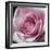 Raindrops & Roses III-Monika Burkhart-Framed Photo