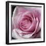 Raindrops & Roses III-Monika Burkhart-Framed Photo