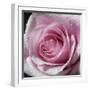 Raindrops & Roses III-Monika Burkhart-Framed Photo