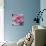 Raindrops & Roses III-Monika Burkhart-Stretched Canvas displayed on a wall