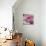 Raindrops & Roses III-Monika Burkhart-Stretched Canvas displayed on a wall