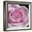 Raindrops & Roses IV-Monika Burkhart-Framed Photo