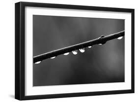 Raindrops-Ursula Abresch-Framed Photographic Print