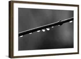 Raindrops-Ursula Abresch-Framed Photographic Print