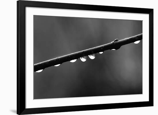 Raindrops-Ursula Abresch-Framed Photographic Print