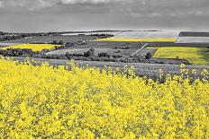 Oilseed Rape Fields-Rainer Maria-Framed Photographic Print