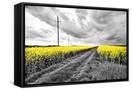 Canvas Black