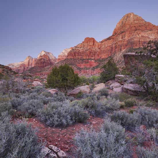 Photographic Print, , large