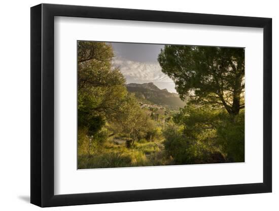 Premium Photographic Print, , large