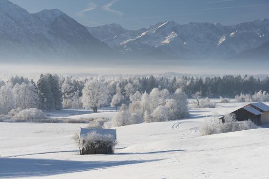 Photographic Print, , large