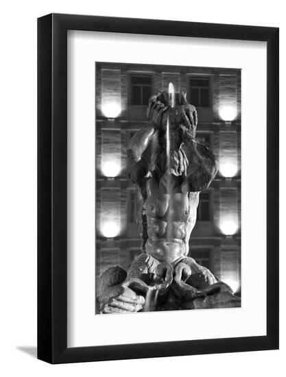 Photographic Print, , large