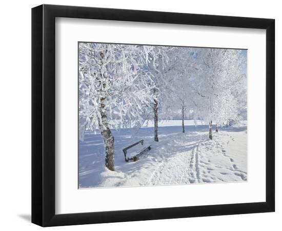 Photographic Print, , large