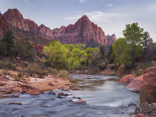 Premium Photographic Print, , large