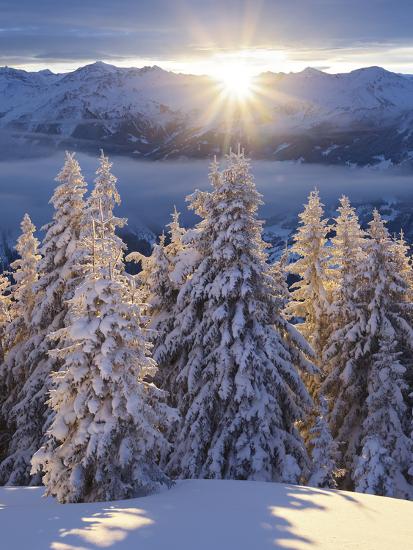 Premium Photographic Print, , large