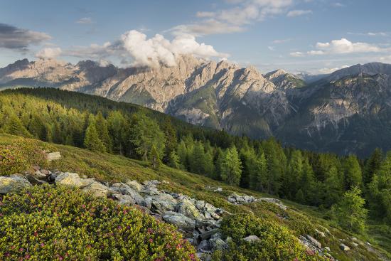 Premium Photographic Print, , large