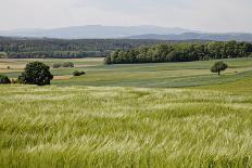 Landscape, Southern Burgenland, Austria-Rainer Schoditsch-Framed Photographic Print