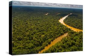 Rainforest Aerial, Yavari-Mirin River, Oxbow Lake and Primary Forest, Amazon Region, Peru-Redmond Durrell-Stretched Canvas
