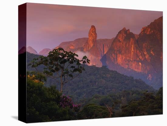 Rainforest and Mountains-Kevin Schafer-Stretched Canvas