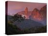 Rainforest and Mountains-Kevin Schafer-Stretched Canvas