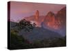 Rainforest and Mountains-Kevin Schafer-Stretched Canvas