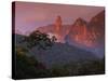 Rainforest and Mountains-Kevin Schafer-Stretched Canvas