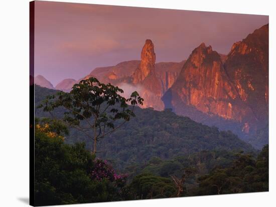 Rainforest and Mountains-Kevin Schafer-Stretched Canvas